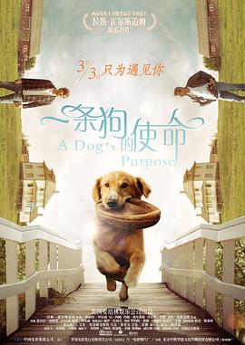 亚洲欧洲影视