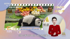 东方aⅴ免费观看久久av